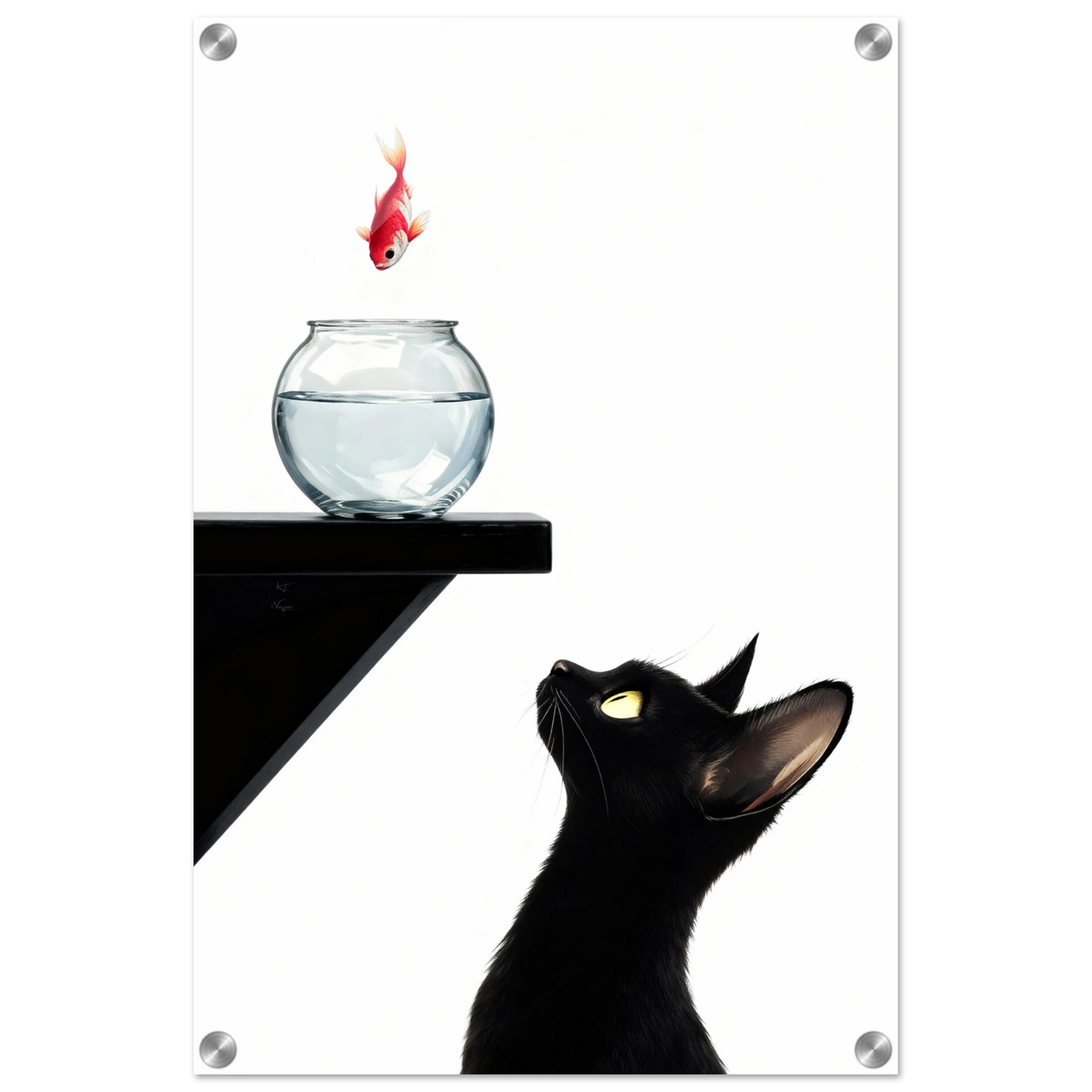 Curious Black Cat Goldfish Minimalist Art Print 40x60 cm 16x24″ Sleek Acrylic Print